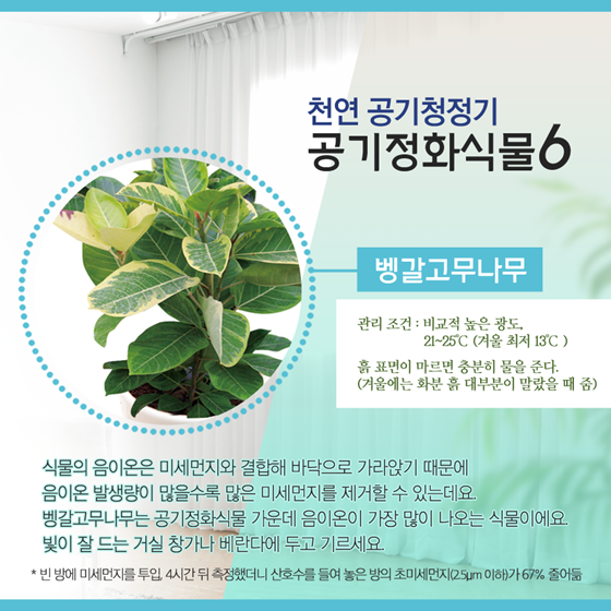 출처 : https://www.korea.kr/news/cardnewsView.do?newsId=148857578