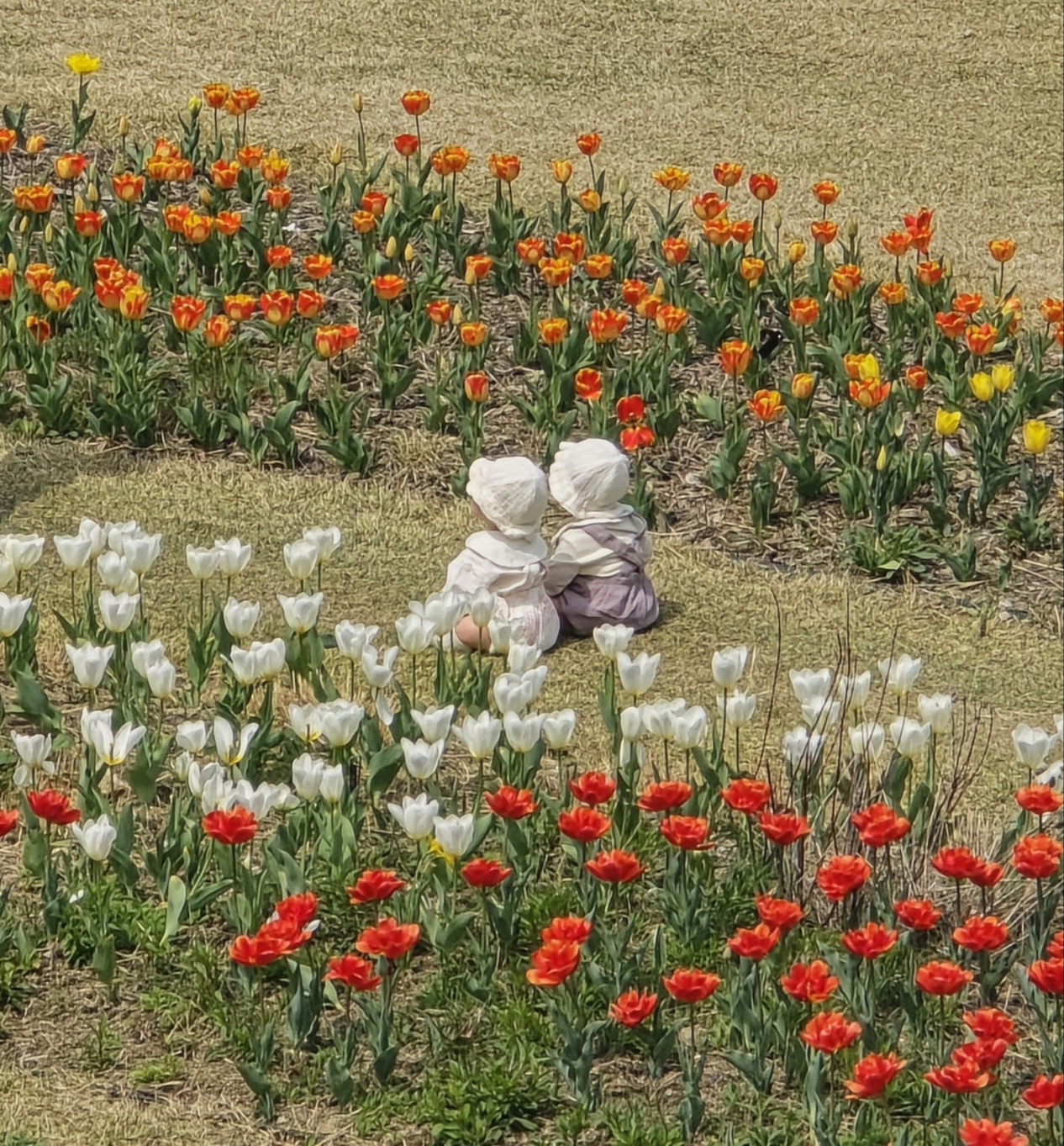 하지만 이 모습보다 더 아름다운 건 없는 것 같네요.