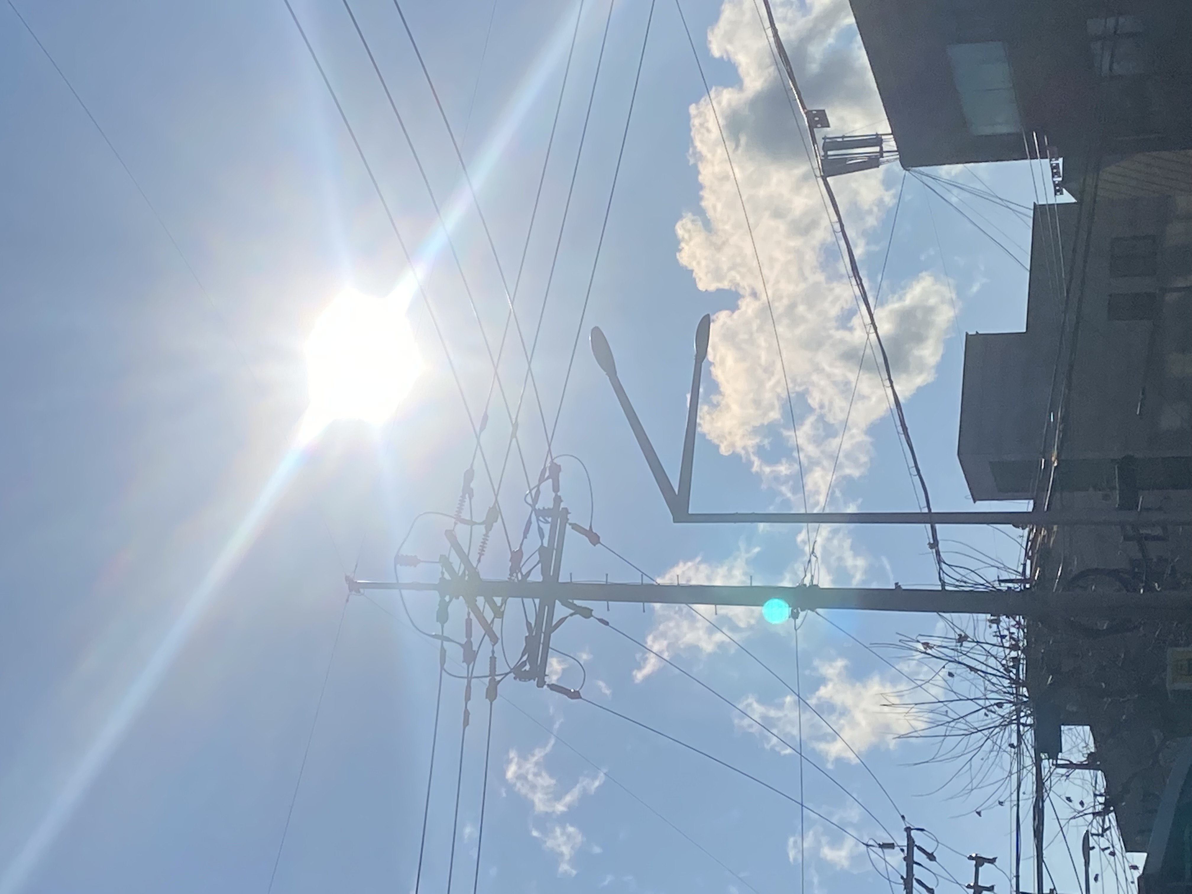 언니네 이발관, 실락원