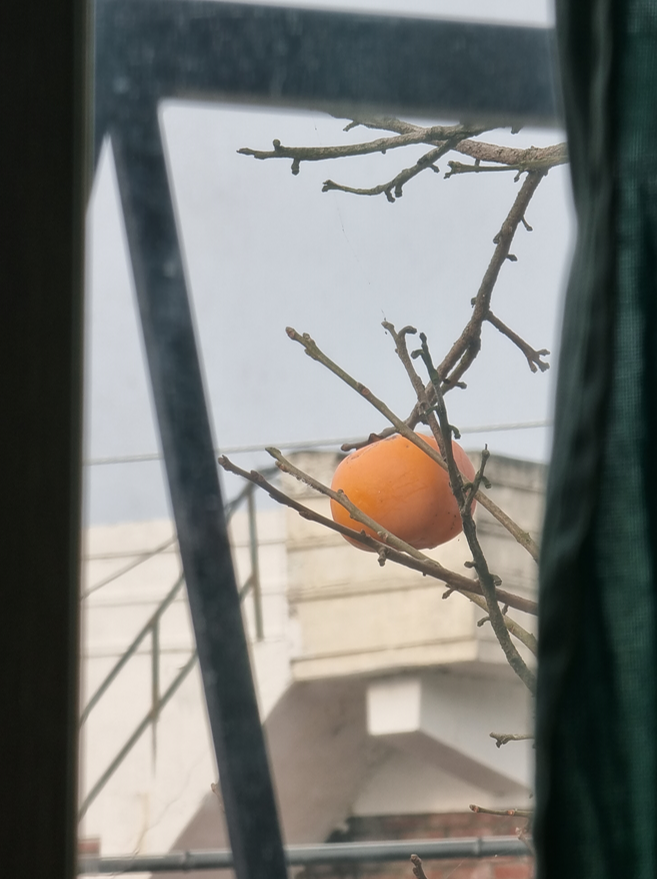 💌 회사 밖 생활... 너무 힘들다...😭의 썸네일 이미지