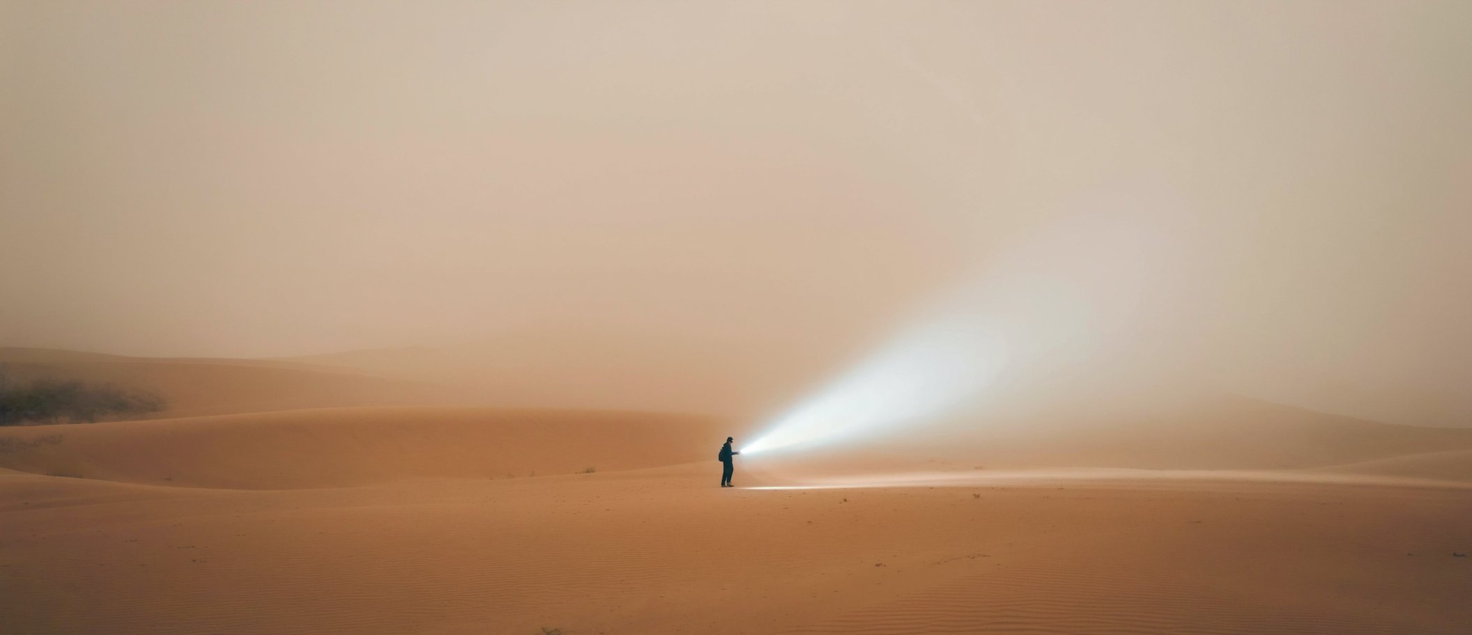 출처: X&nbsp;@iamneubert