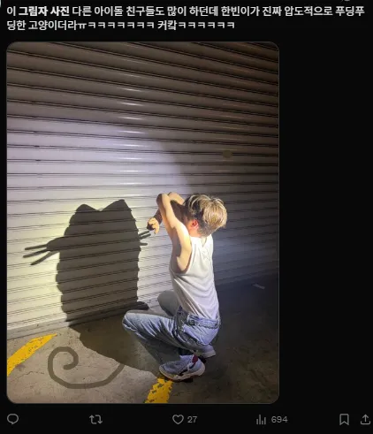 이미지 = X캡처 (https://x.com/naaruuhodo/status/1922848467115733457)