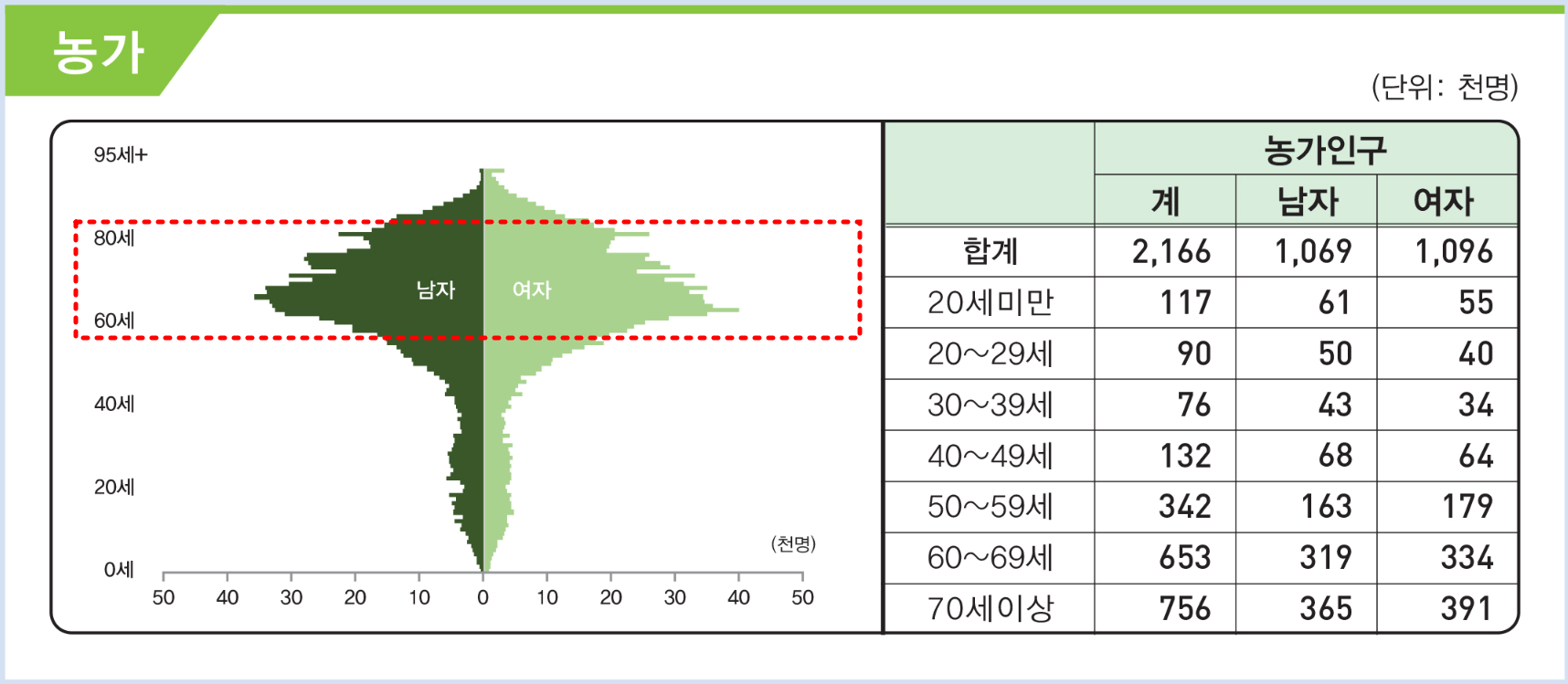 2022년 농가 인구 구조