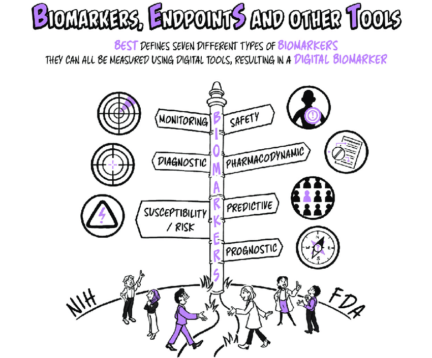 출처 : https://www.researchgate.net/figure/The-BEST-Biomarkers-EndpointS-and-other-Tools-Framework-In-2016-the-US-Food-and-Drug_fig3_340365409