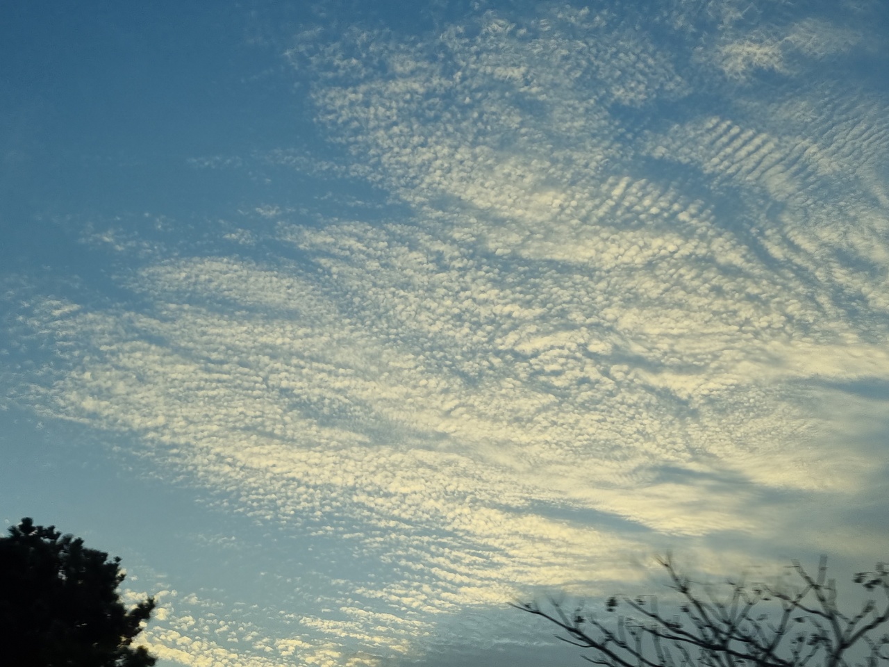 이거 혹시 지진운?