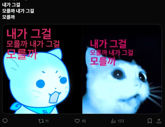 이미지 = X캡처 (https://x.com/pobi_371122/status/1960965477846671389)