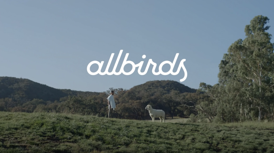 올버즈의 브랜드 로고와 정체성을 담고 있는 이미지(출처: https://www.linkedin.com/pulse/brand-spotlight-meet-your-shoes-allbirds-ad-campaign-nick-byrne/)