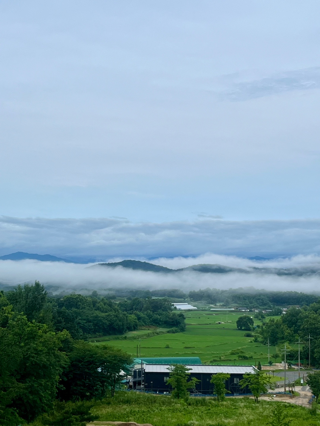 새로운 라이프스타일로 진입하다_오운리 정원 이야기_이설아의 썸네일 이미지