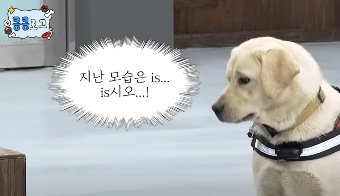 출처 : YouTube '관세청'