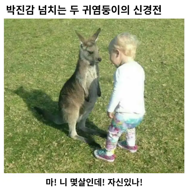 아니 벌써 일주일이 지났다고요?의 썸네일 이미지