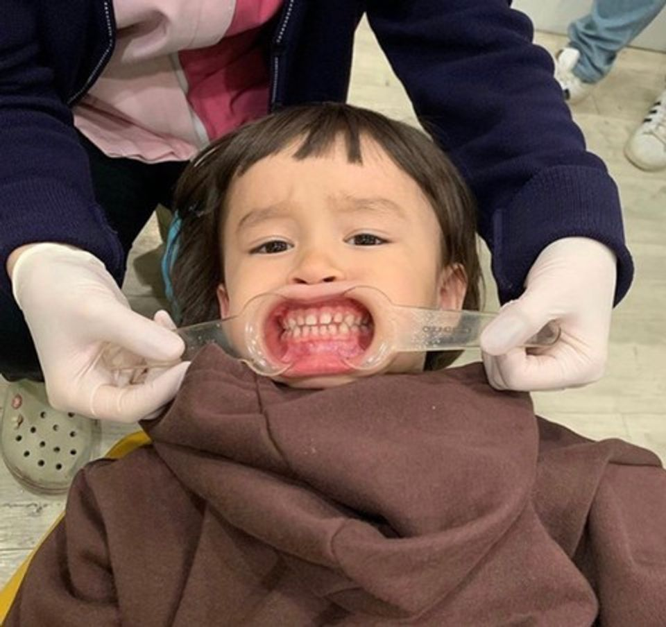 이미지 = 네이버 블로그 캡처(https://blog.naver.com/iwmpy/222374445182)