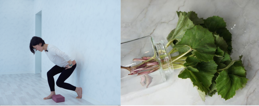 하체가 불나는 바로 그 동작! & 머위를 아시나요?