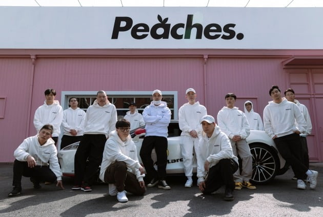 출처: 피치스그룹 코리아