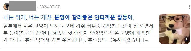 이미지 = 네이버 검색 캡처 (https://search.naver.com/search.naver?sm=tab_hty.top&where=nexearch&ssc=tab.nx.all&query=운명이+갈라놓은+안타까운+쌍둥이&oquery=악의+하인&tqi=jtwvBsqo1fsss4DWmtossssst6N-412624&ackey=atnky41j)