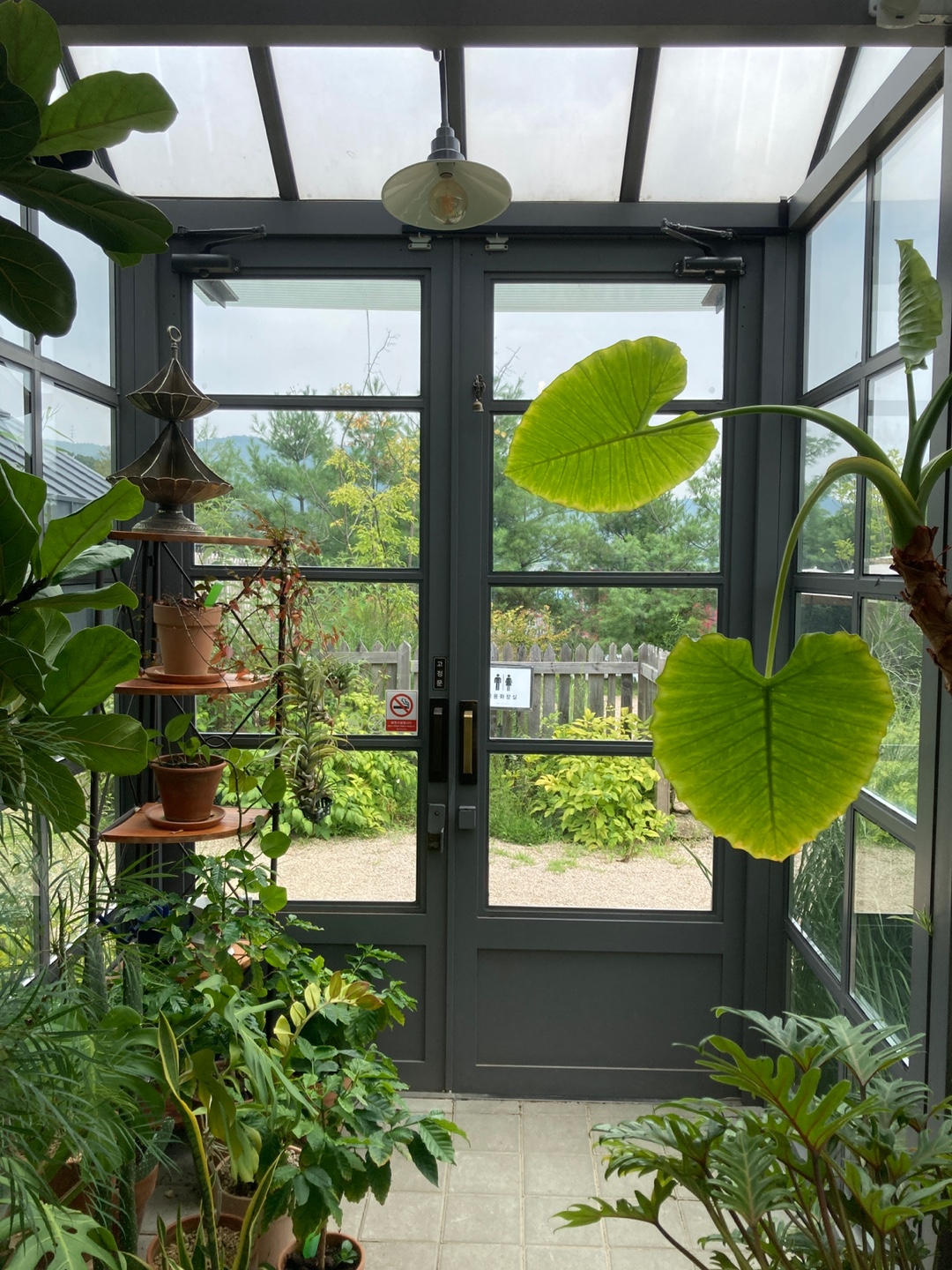 티하우스에덴 온실 입구에서 바라본 출입구