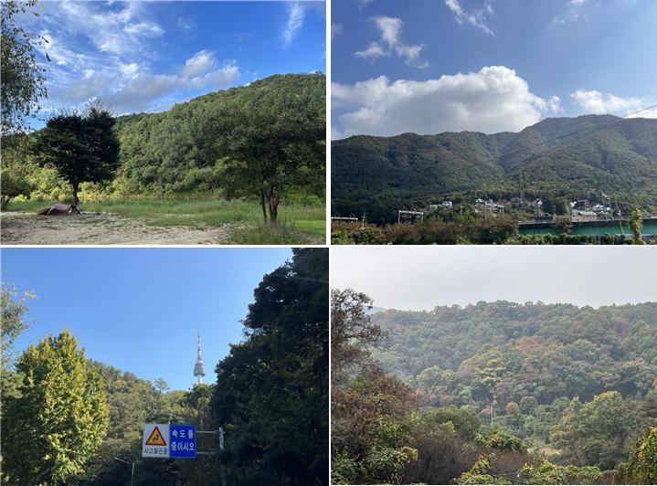 9월 초 - 10월 초 - 10월 중순 - 10월 말 (왼 위부터 시계방향) 서울, 경기, 강원의 산