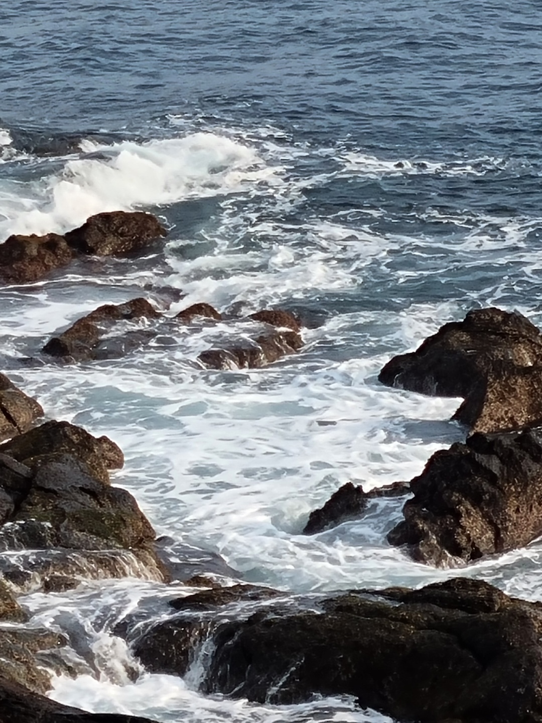물보라가 거칠게 일어나는 파도를 좋아합니다