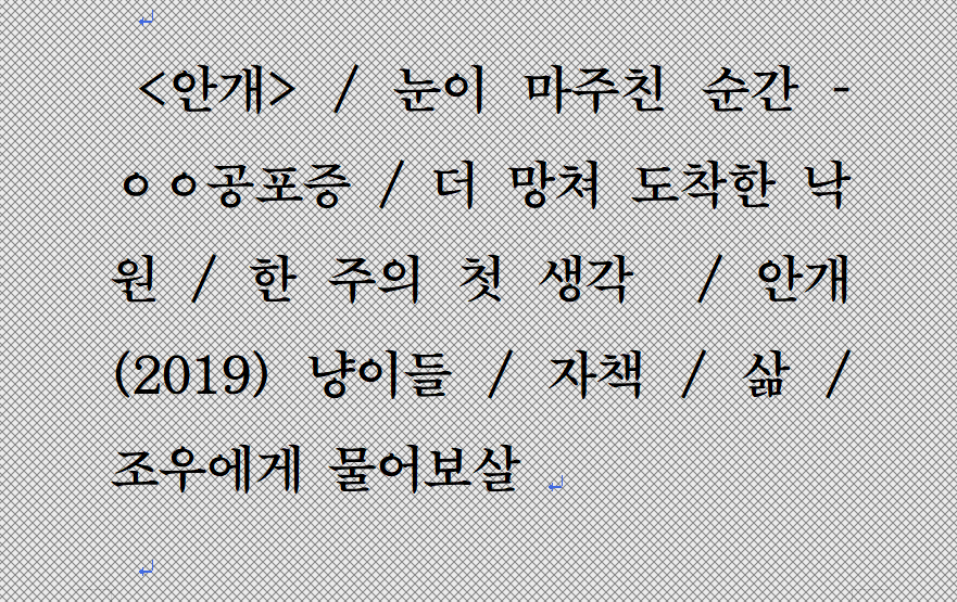 파일 형식 : pdf (8.79MB) / 140*220 / 80 페이지 / 글자 수 : 22,731자 