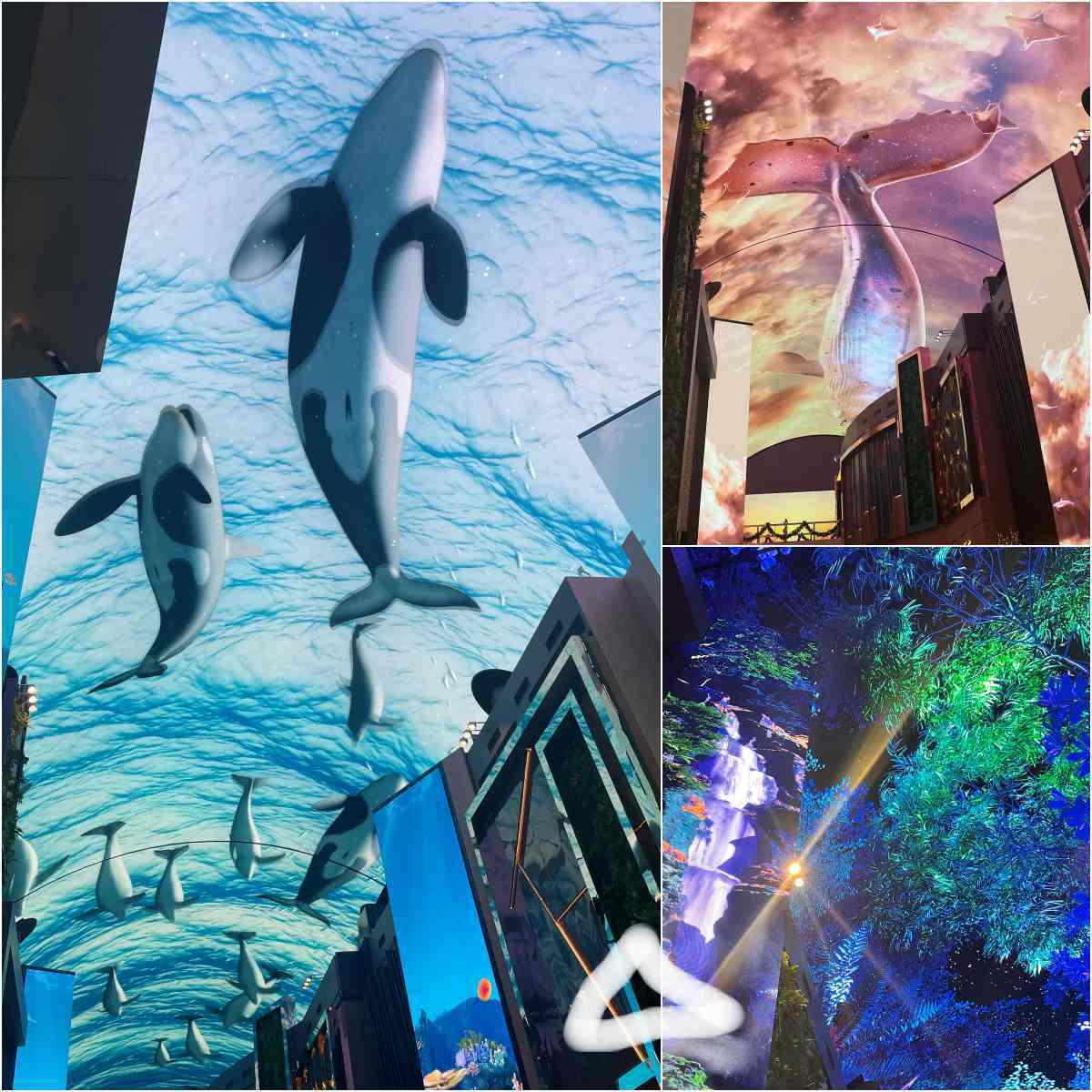 인스파이어 오로라. (사진=세모)