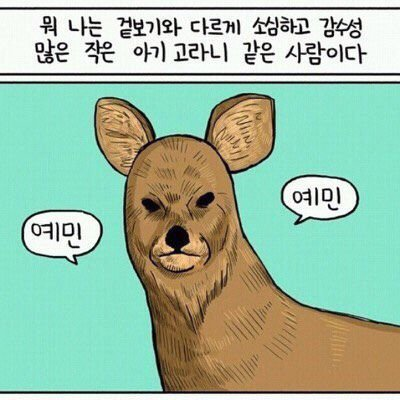 첨부 이미지