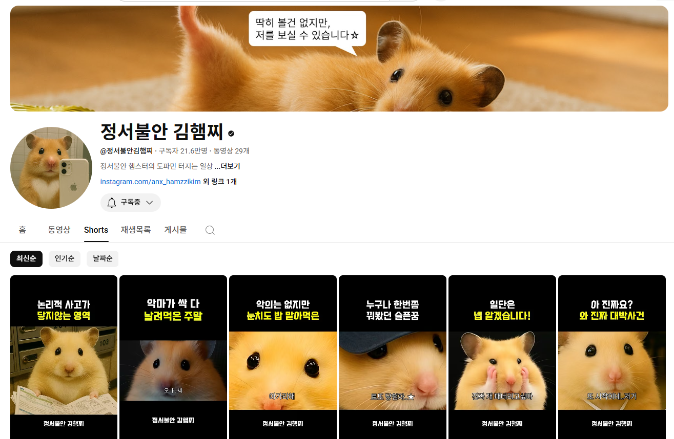 출처 : 정서불안 김햄찌 유튜브 채널