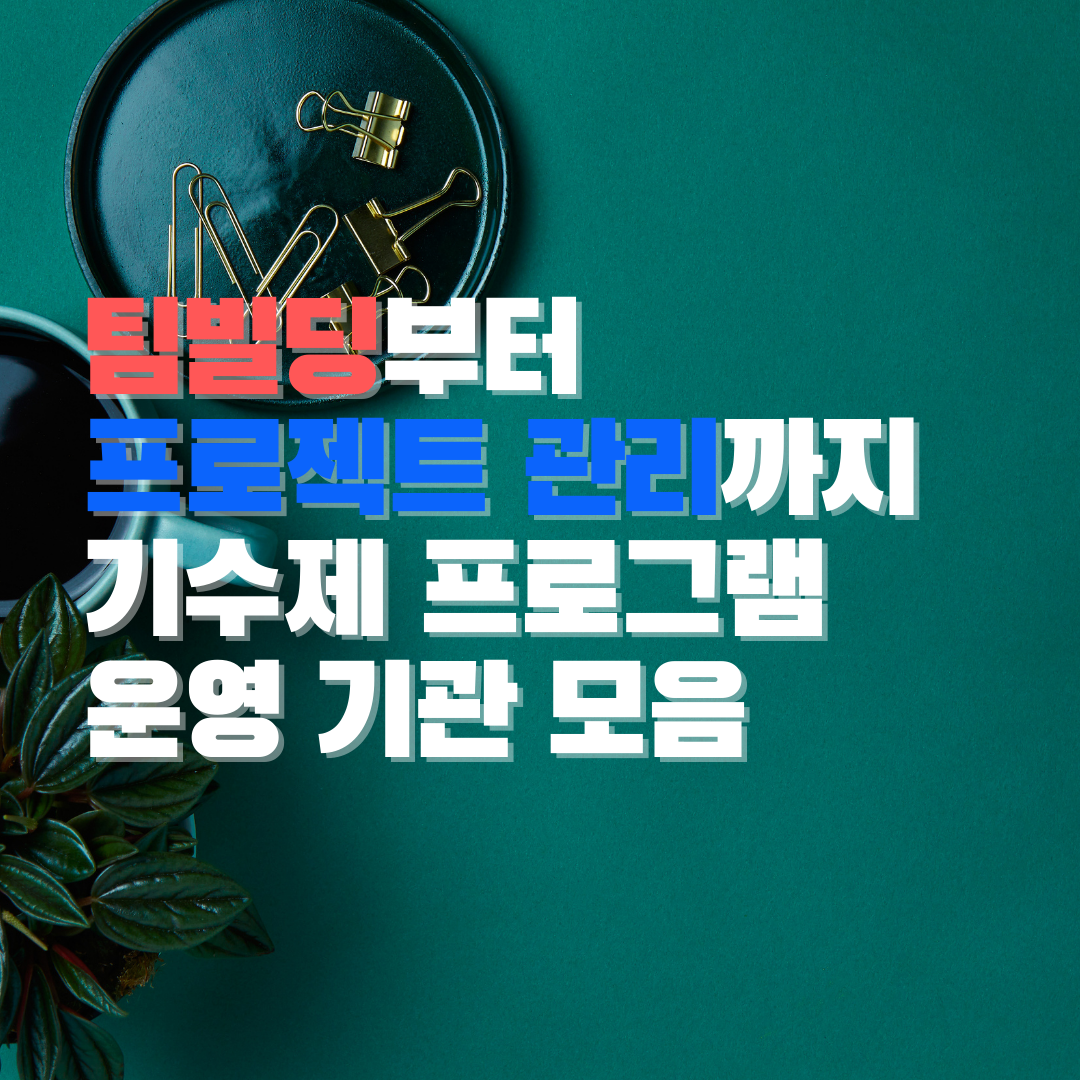 팀빌딩부터 프로젝트 관리까지 기수제 프로그램 운영 기관 모음