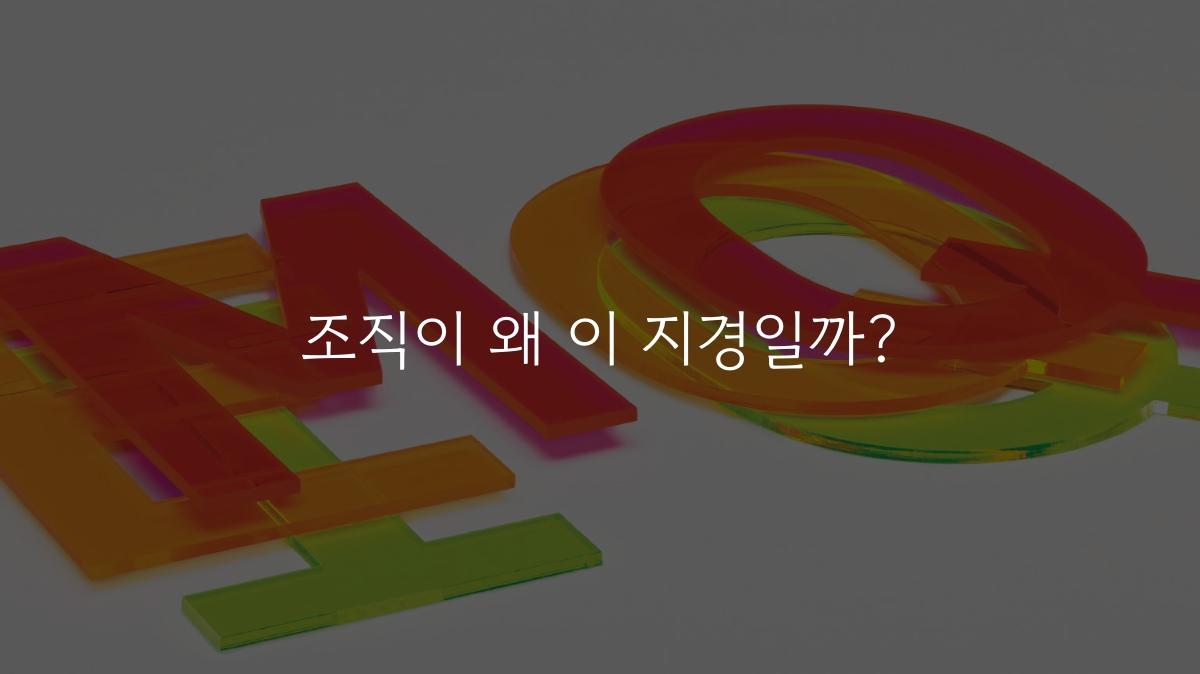 조직이 왜 이 지경일까?의 썸네일 이미지