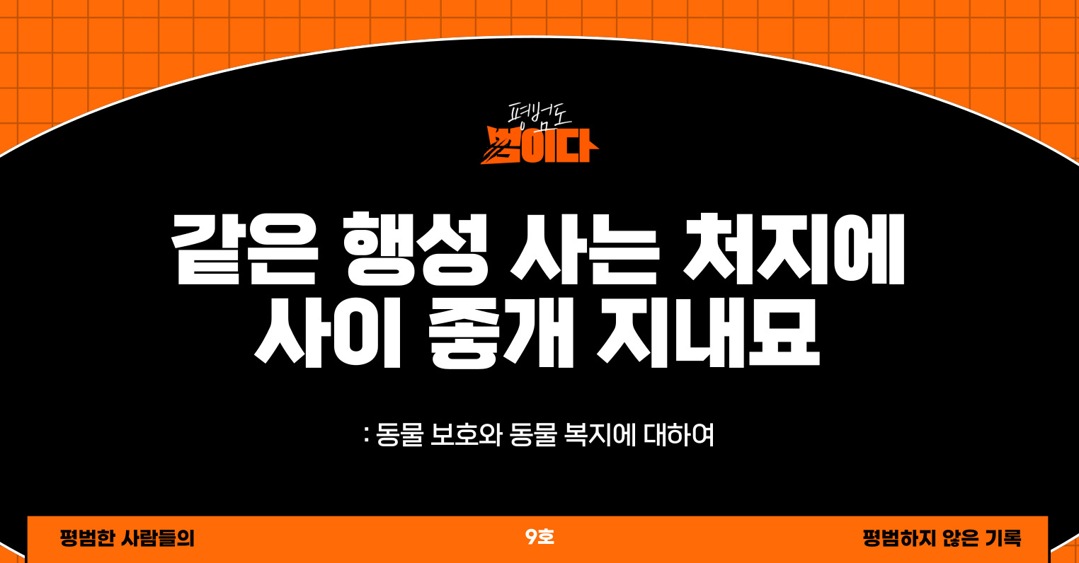 같은 행성 사는 처지에 사이 좋개 지내묘의 썸네일 이미지