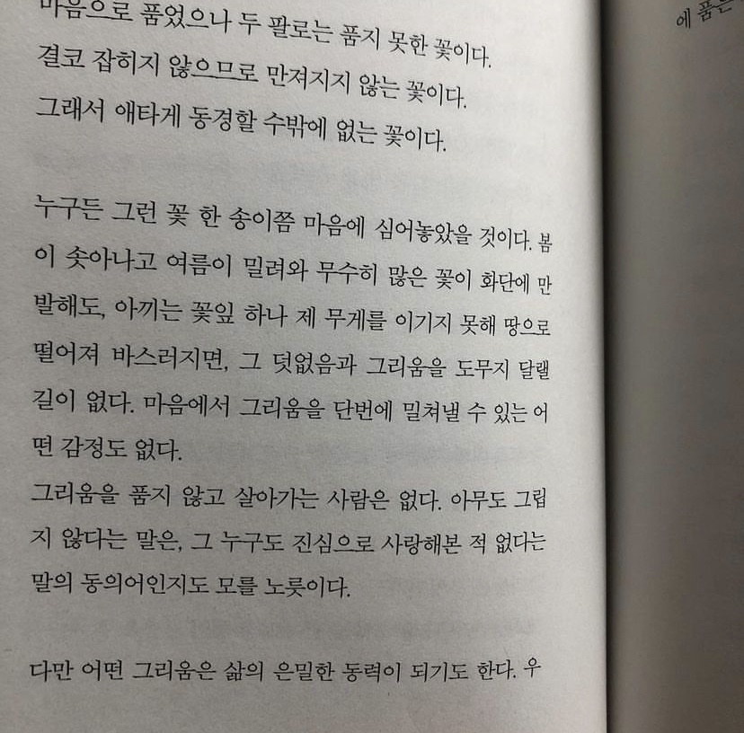 무려 2019년에 내가 직접 찍은 사진