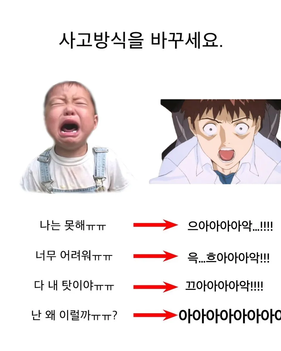 이미지 = X 캡처 (https://x.com/komm_com00/status/1947483544202449290)