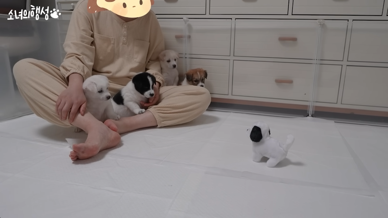 5:1로 기강 잡히는 중. 인간과 로봇의 미래를 경고하는 듯한 메타포