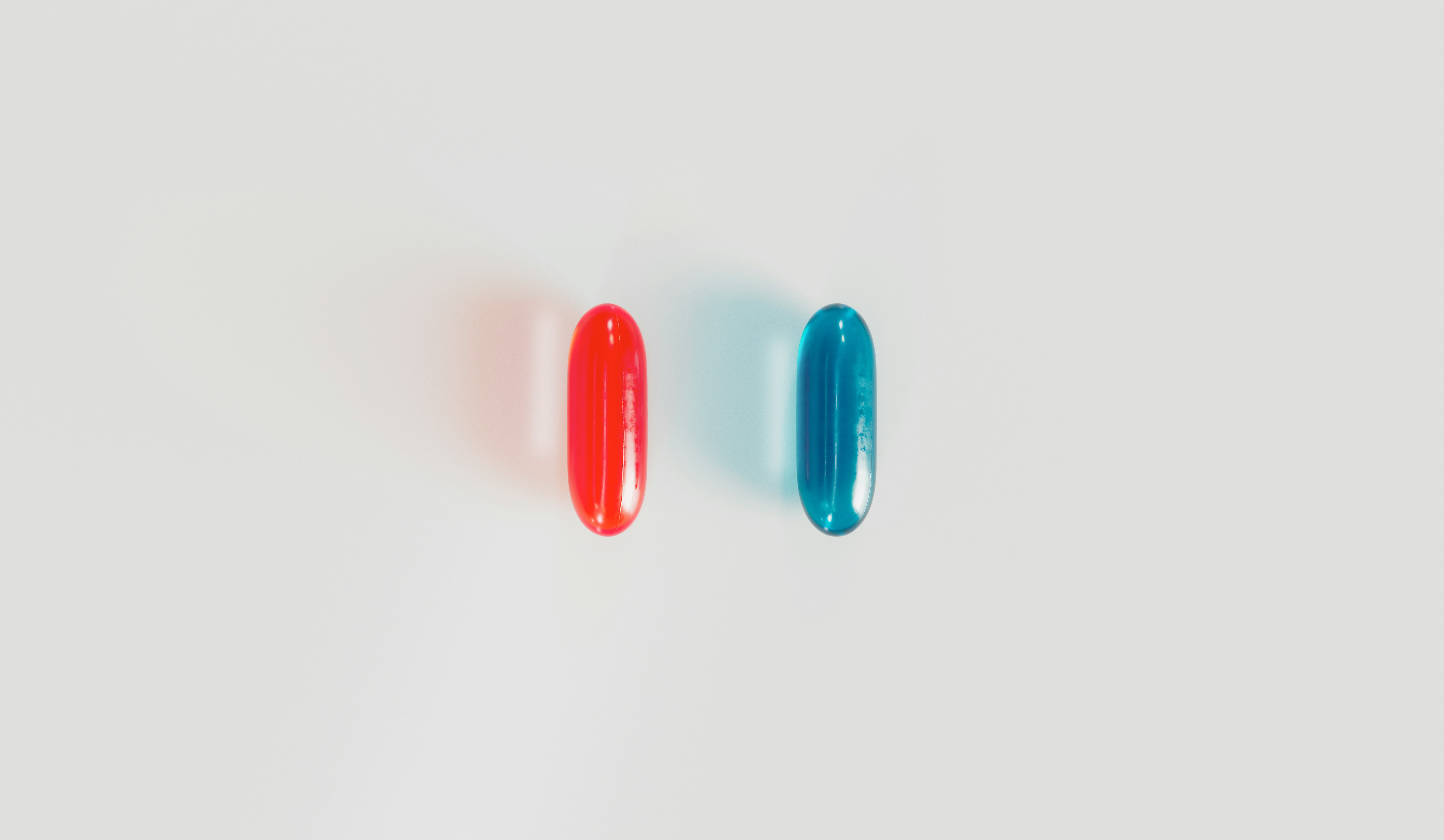 (출처: unsplash)
