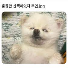 첨부 이미지