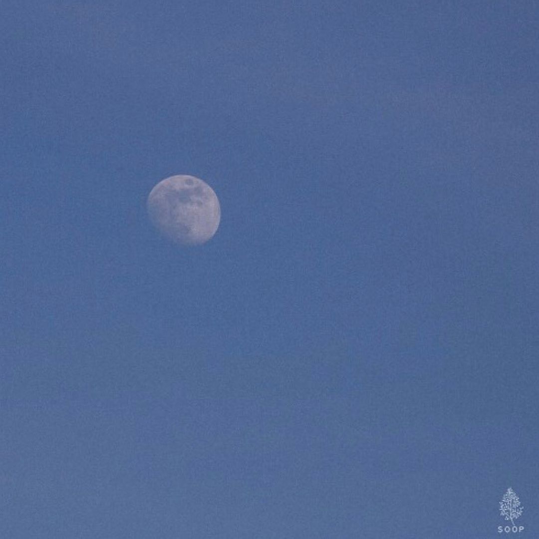 '니가 생각나던 밤' 앨범 커버 / 출처: 노르웨이 숲 인스타그램(@norwegianwood.official)