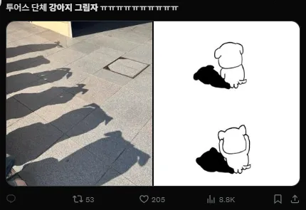 이미지 = X캡처 (https://x.com/daisy_hoonie/status/1922548207478817029)