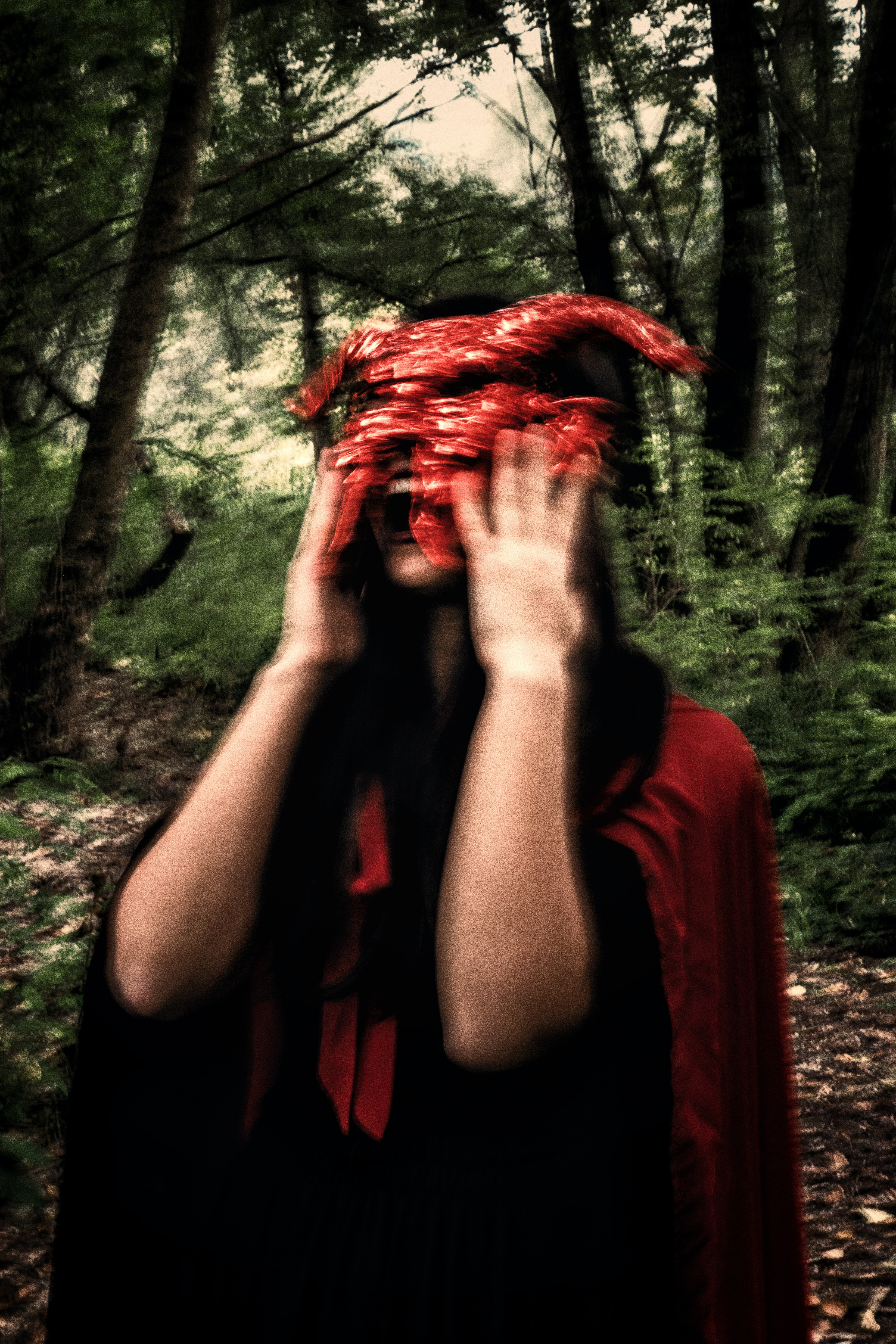 &nbsp; Photo by Stefano Ciociola on Unsplash