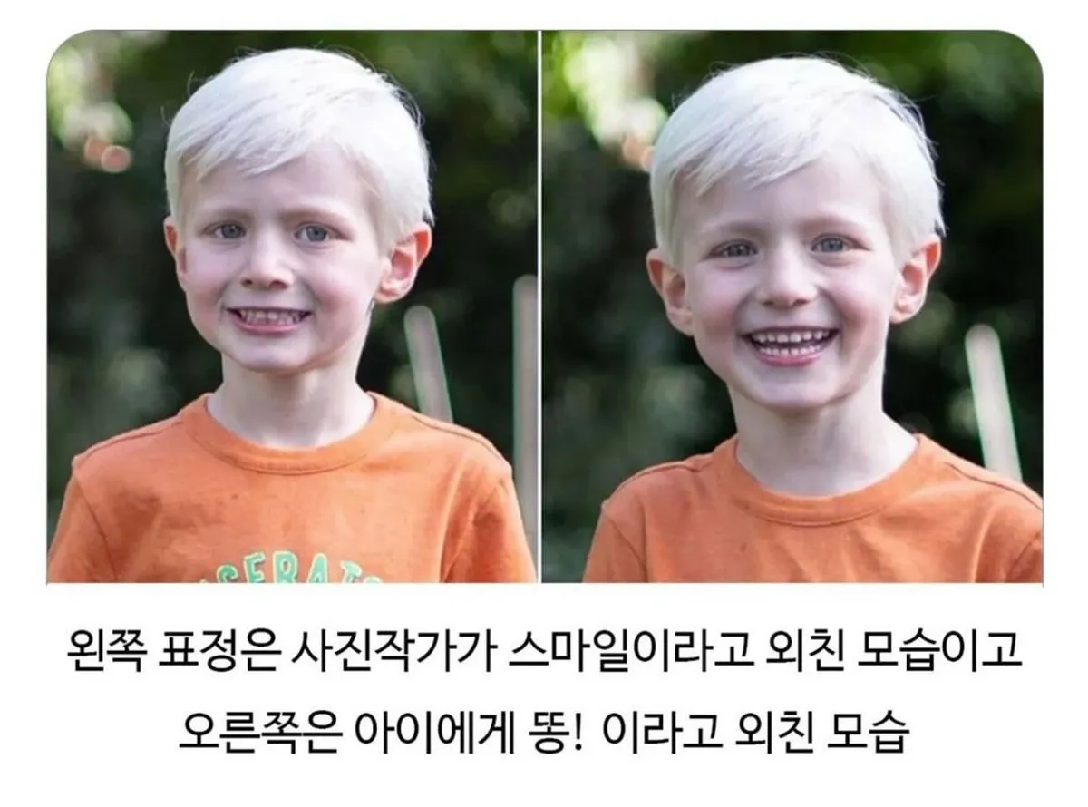 이미지 = X 캡처 (https://x.com/nyaaang_6v6/status/1947257018768560540)