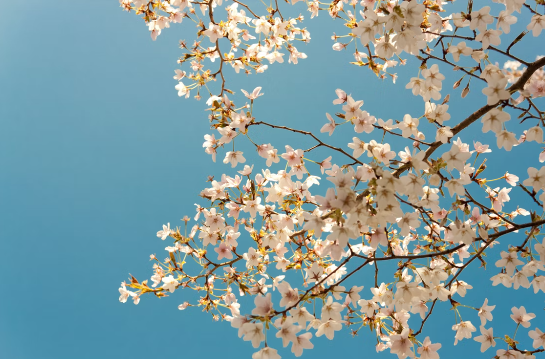 희망적인 내일이기를. 우리 아이들의 시대는 그랬으면 좋겠습니다..&nbsp;