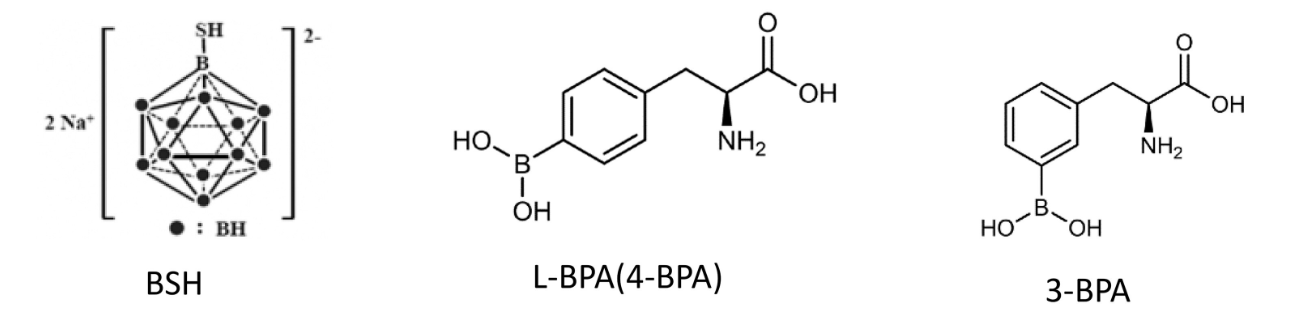 Shen, S., Wang, S., Zhou, D., Wu, X., Gao, M., Wu, J., … Wang, N. (2024). A clinician’s perspective on boron neutron capture therapy: promising advances, ongoing trials, and future outlook. International Journal of Radiation Biology, 100(8), 1126–1142. 