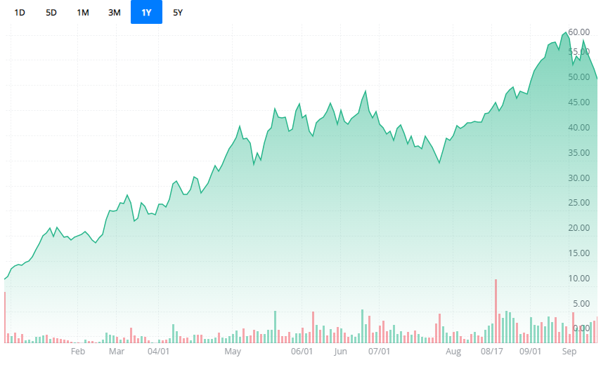 ZIM 차트 (Webull Website 인용)