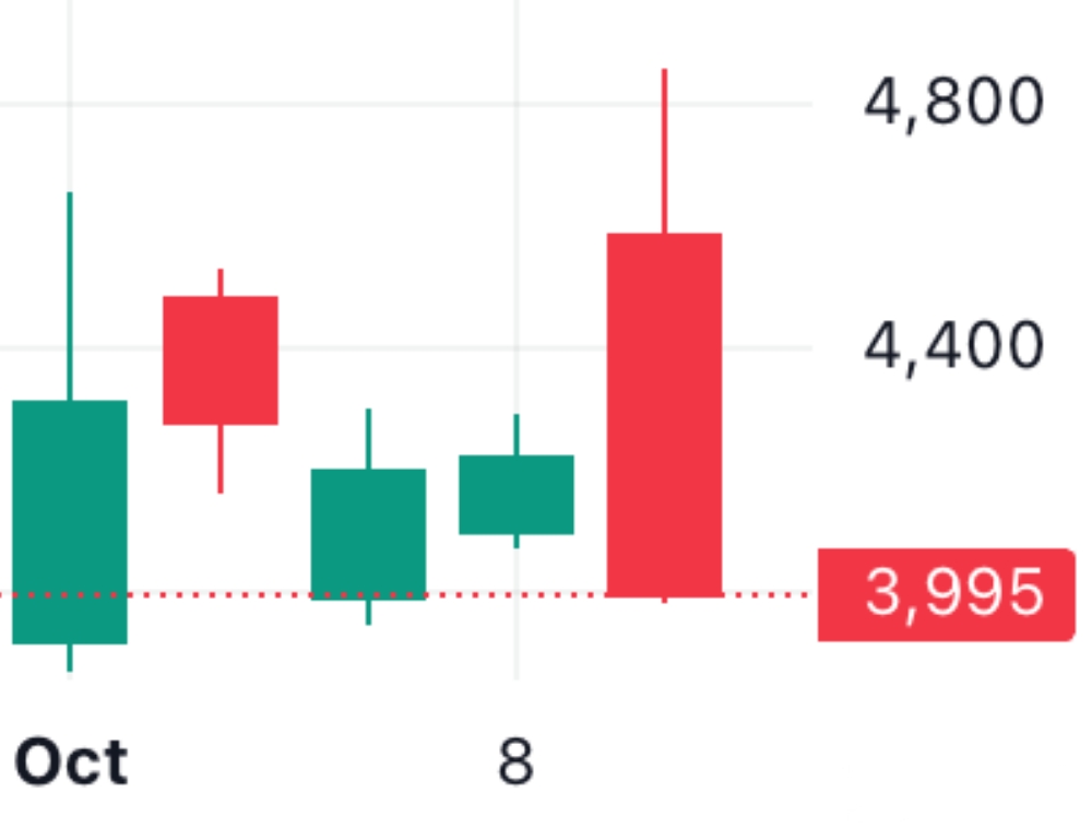 🐬[DOLFIN] 10월 11일 장전 체크리스트의 썸네일 이미지