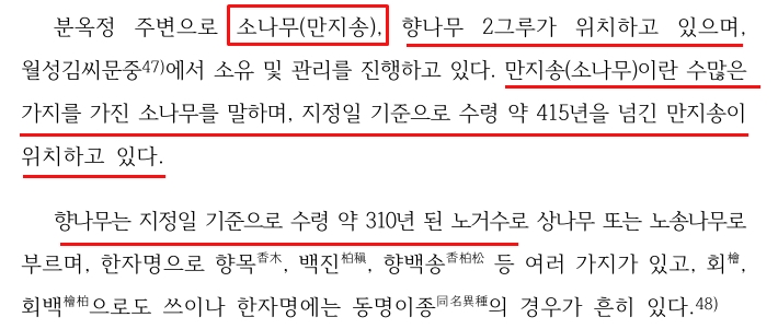 분옥정 보호수 관련 소나무와 만지송의 애매한 기록 1