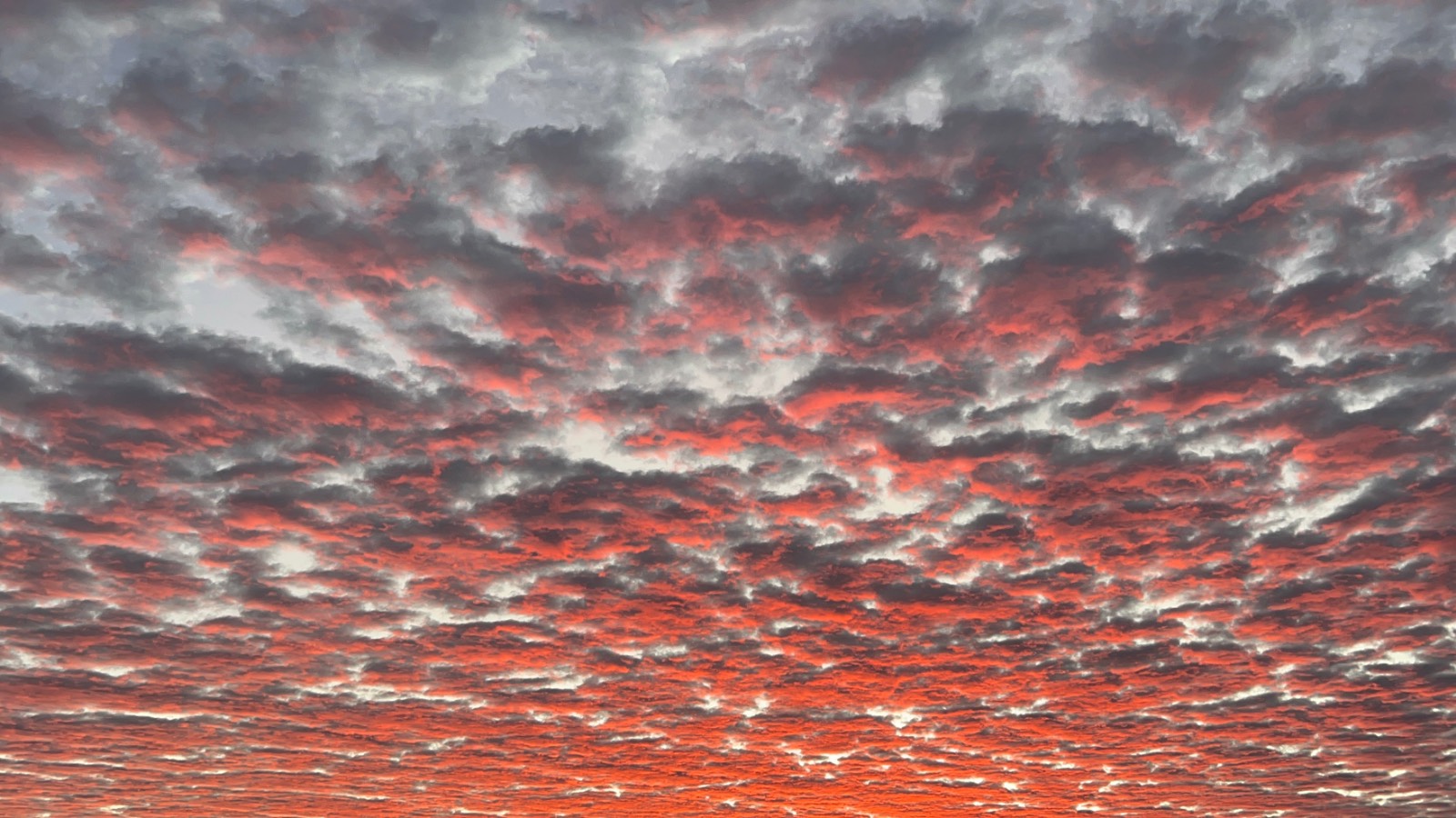 새벽 여섯 시, 수풀 속에서 똥 싸면서 본 뷰