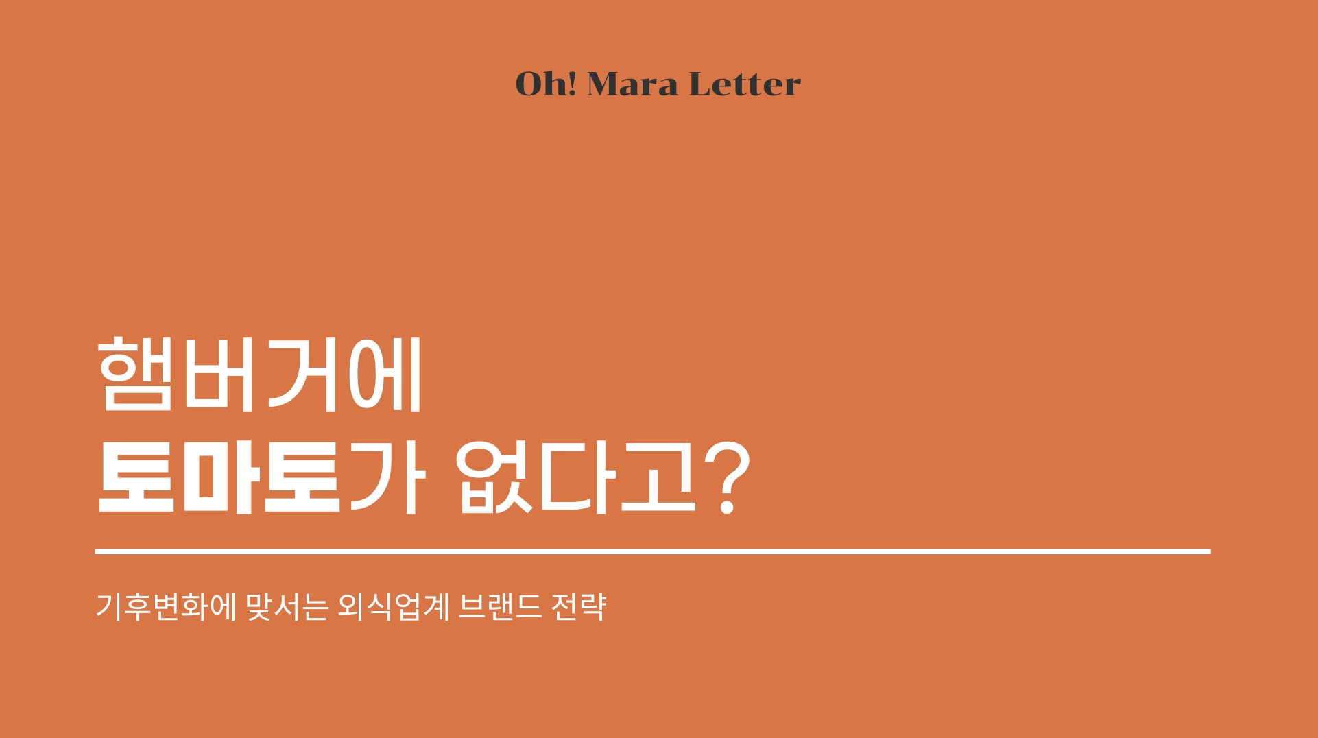 [오마라레터 19호] 햄버거에 토마토가 없다고? 의 썸네일 이미지