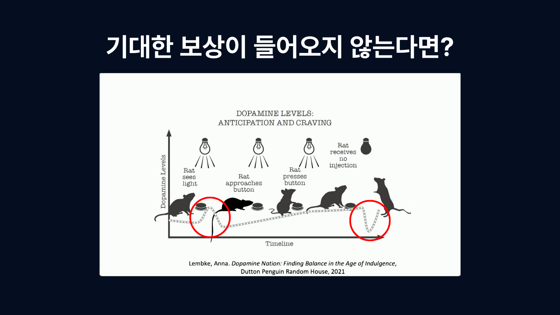 실험에서 쥐의 도파민 레벨 변화 2