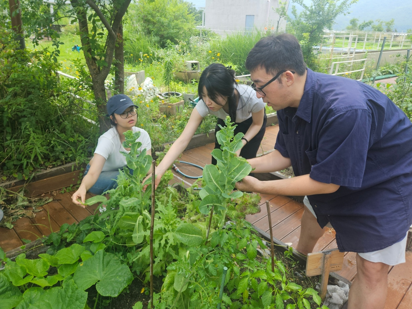 👒텃밭 가꾸고 궁전으로 갈 수도 있어...의 썸네일 이미지