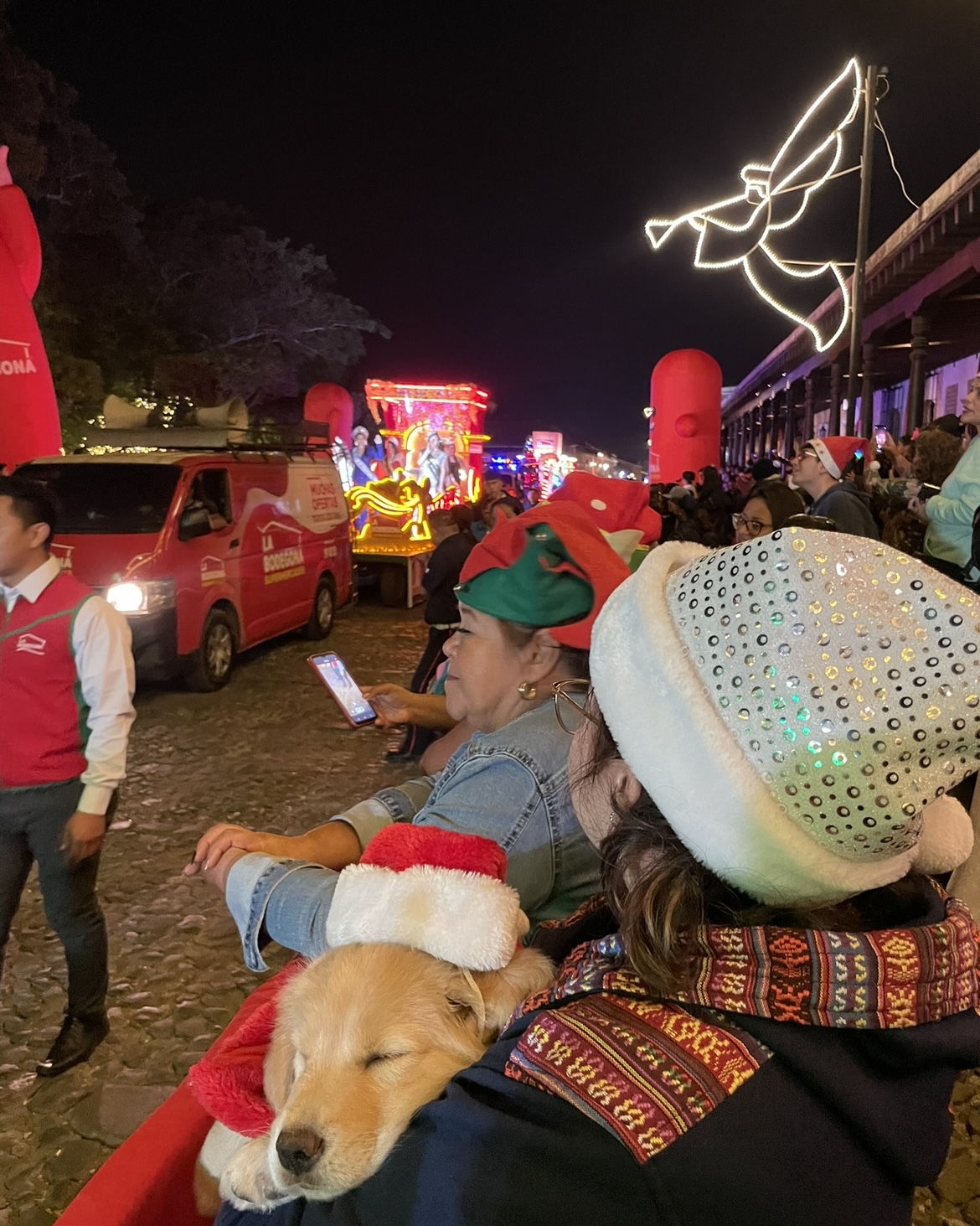 강아지 머리 위에 쪼만한 산타 모자 어쩔거여ㅠㅠㅠㅠㅠㅠㅠ
