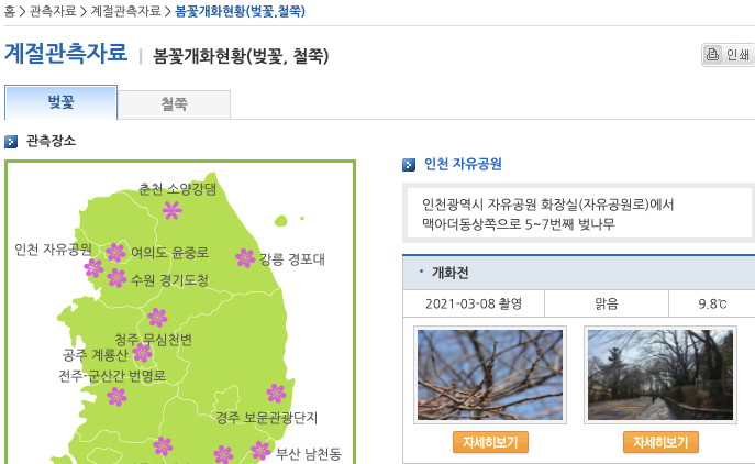 출처 : 기상청 계절 관측자료 