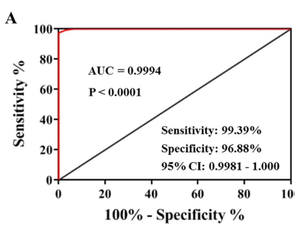 출처 : Jiang, W., Wu, J., Lin, X., Chen, Z., Lin, L., & Yang, J. (2024). Enumeration and Molecular Characterization of Circulating Tumor Cell Using an Epithelial Cell Adhesion Molecule/Vimentin/Epidermal Growth Factor Receptor Joint Capture System in Lung Cancer. Clinical Medicine Insights. Oncology, 18, 11795549241231568.