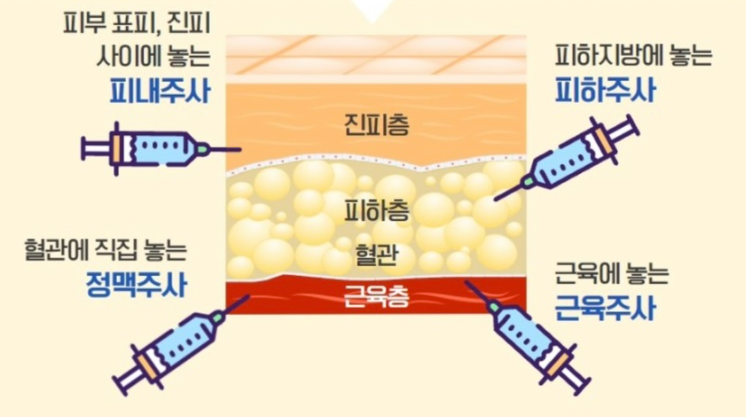 메디체크 강원지부